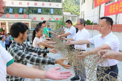 保安乡 巧手编织致富路 藤艺培训促增收